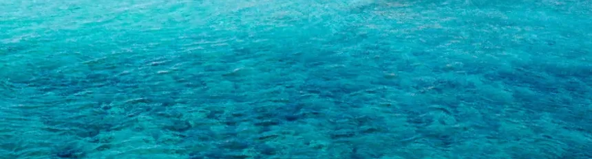 宮古島の珊瑚礁の海